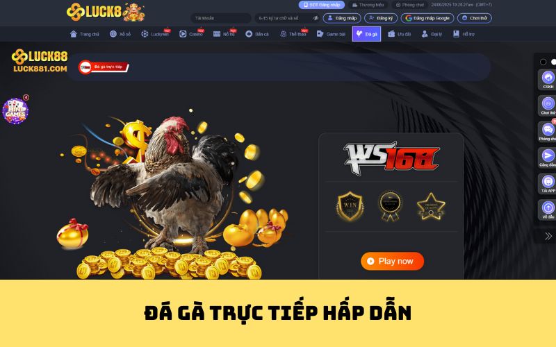 Đá gà trực tiếp hấp dẫn