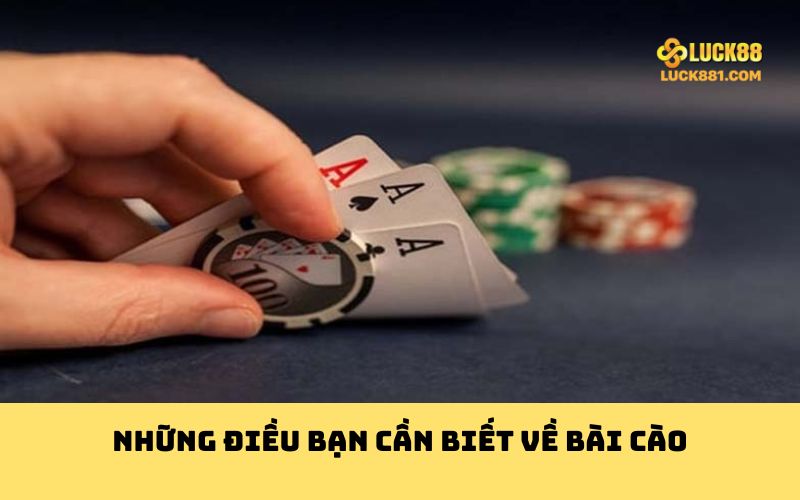 Những điều bạn cần biết về bài cào