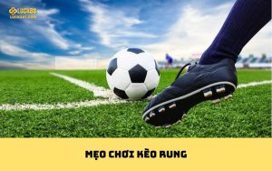Mẹo chơi kèo rung